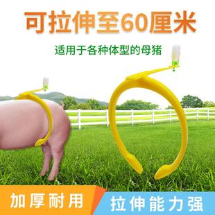 母猪自动输精夹猪用授精夹配种神器猪背夹人工输精支架母猪配种架