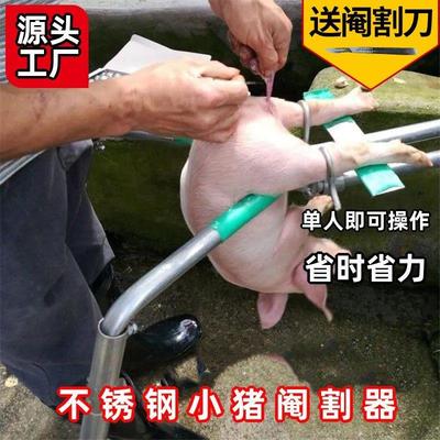 阉猪架仔猪敲猪架神器养殖阉割腌猪刀工具小猪固定去势猪架子
