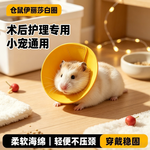 小宠防舔防自残伊丽莎白圈