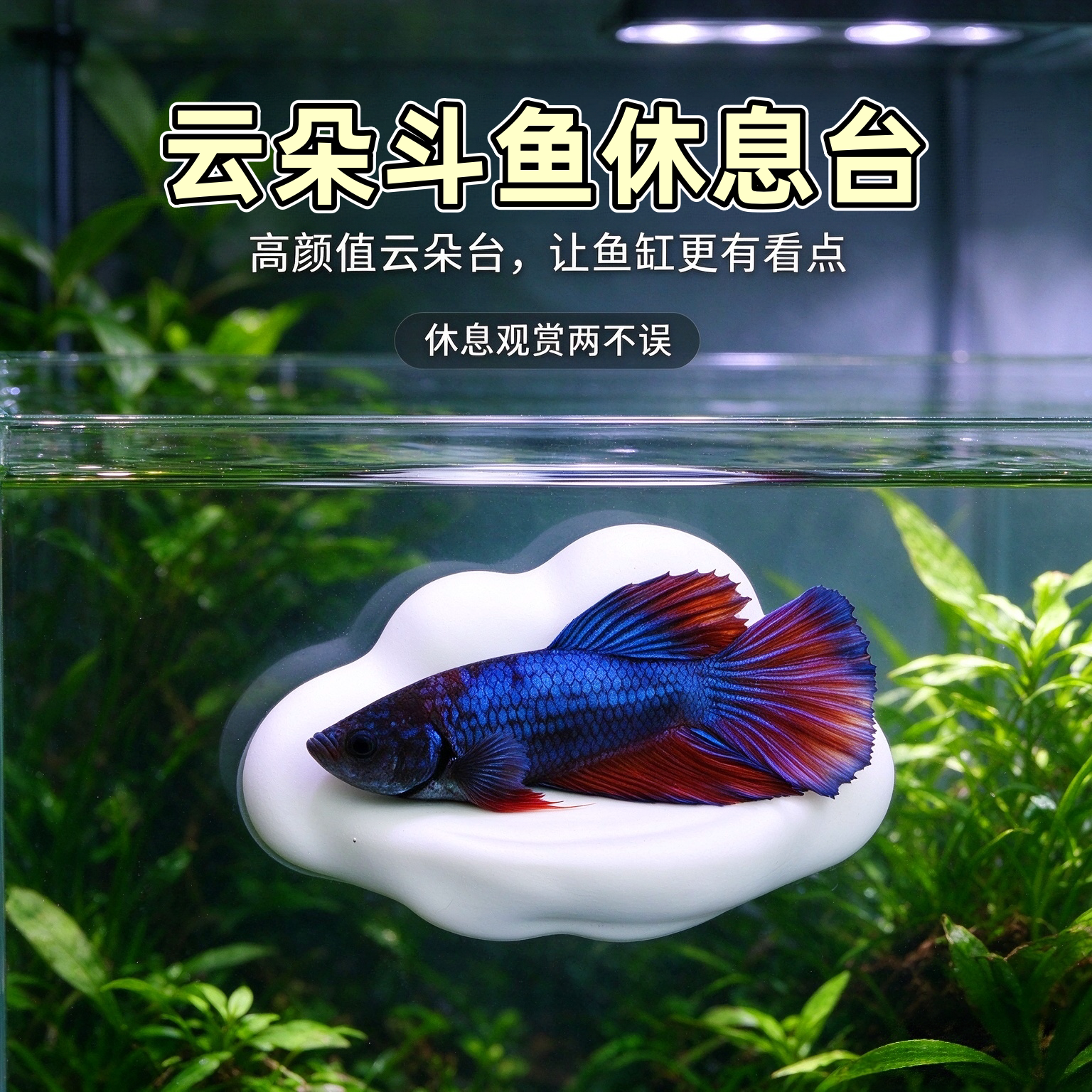云朵形鱼缸造景休息换气平台