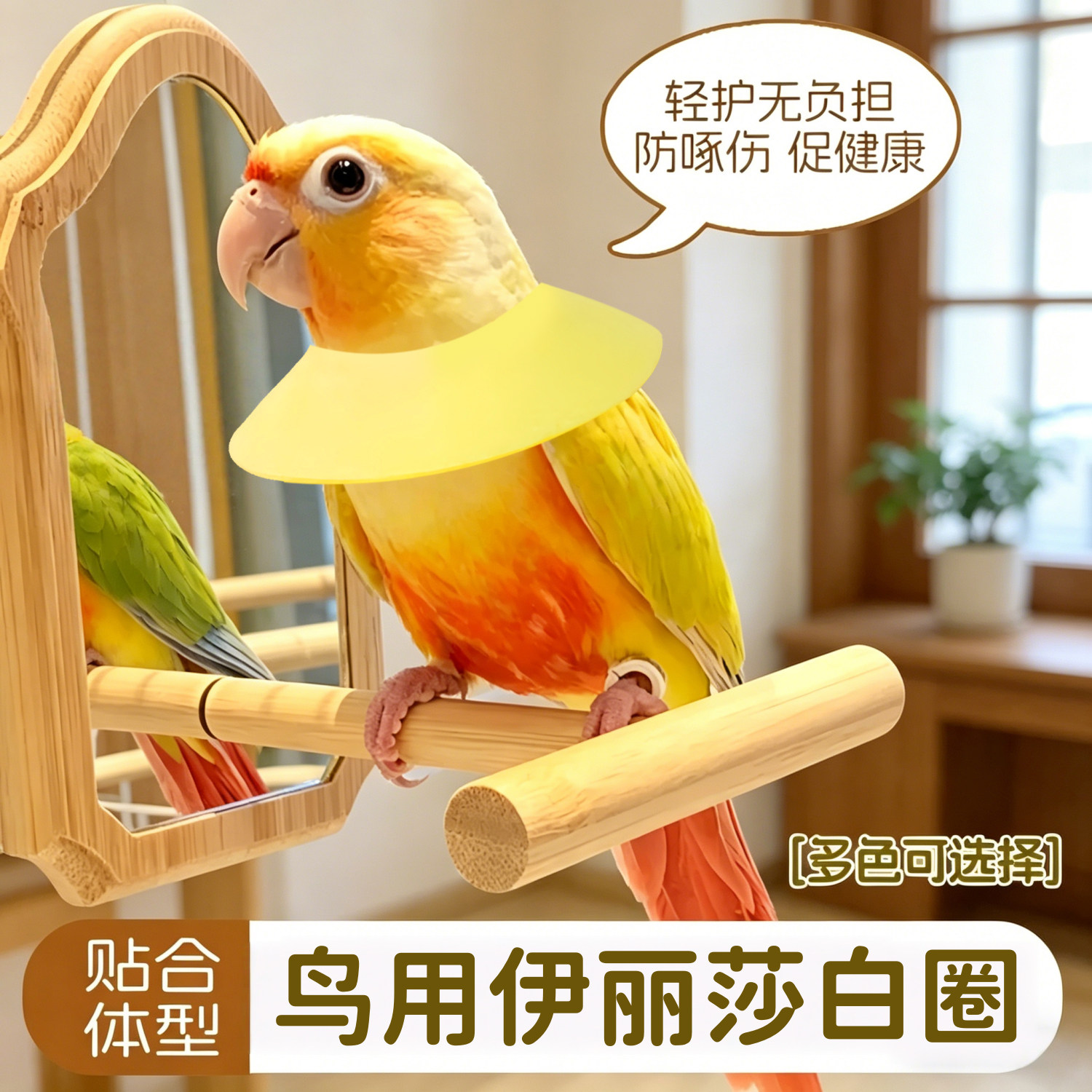 宠帮仕鹦鹉伊丽莎白圈防拔毛防咬