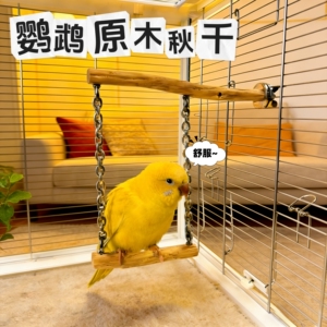 鹦鹉站棍鸟笼站杆秋千天然树枝