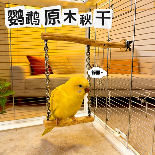 鹦鹉站棍鸟笼站杆秋千天然树枝