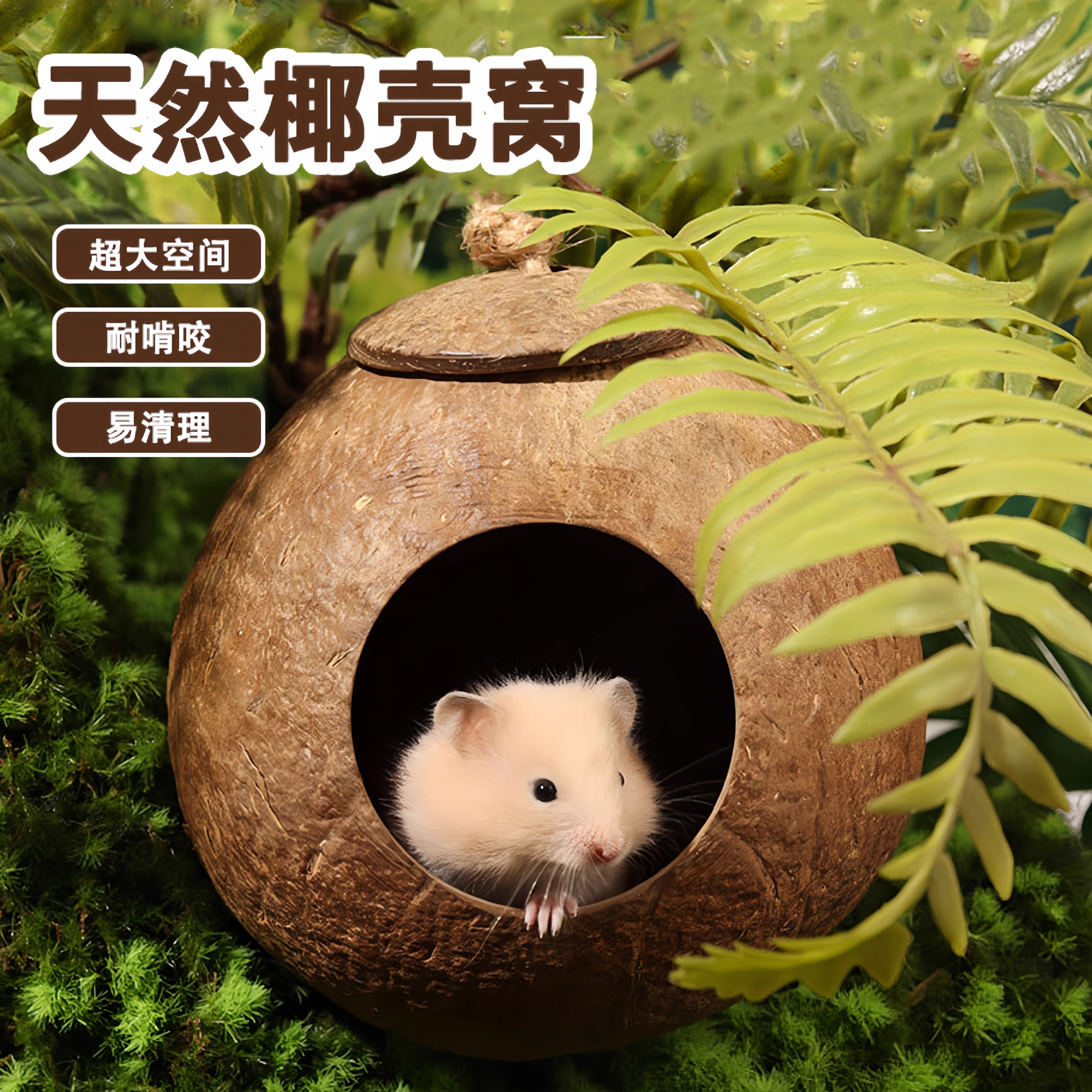 仓鼠椰壳窝躲避屋冬天保暖椰子造景用品金丝熊房子别墅花枝鼠小窝
