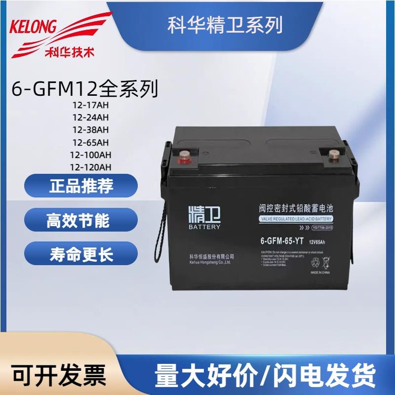 科华精卫蓄电池6-GFM-100-YT/12V100AH/12V65AH12V38AH/12V200AH