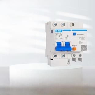 C40A50A63A32 正泰充电桩专用a型漏电保护器断路器Nxble
