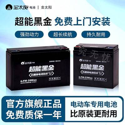 真黑石墨烯金太阳电池48V60V72V12A20AH电动车两三轮电瓶车铅酸蓄