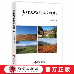 乡村文化境况与活力：服务乡村振兴与文化强国建设 程惠哲著 大量调研信息表 专业人员研究参照 乡村文化 社科正版书籍 研究出版社