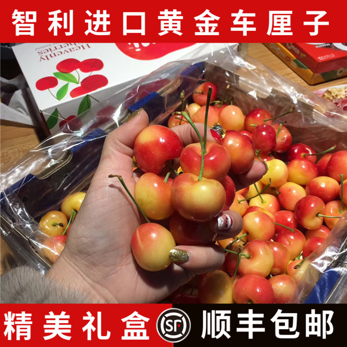 礼盒装2斤智利进口雷尼尔黄金车厘子新鲜时令水果黄色大樱桃整箱