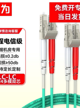 胜为工程电信级万兆光纤跳线LC-LC网线多模双芯OM4网络收发器尾纤光纤连接线 FLLO-2030B