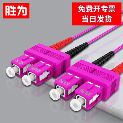 胜为电信级万兆光纤跳线SC-SC