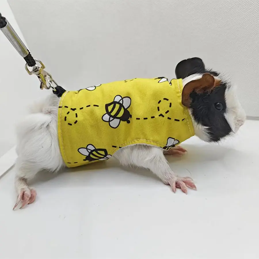 兔子豚鼠牵引绳 荷兰猪外出胸背带 松鼠牵引绳衣服 物用品