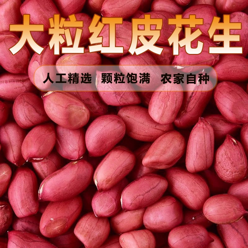 2025新货东北红皮花生米大粒红花生仁原味新鲜五谷杂粮精选花生米