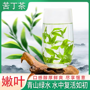 苦丁茶小叶正品苦丁茶散装非嫩叶嫩芽贵州余庆小叶苦丁批发