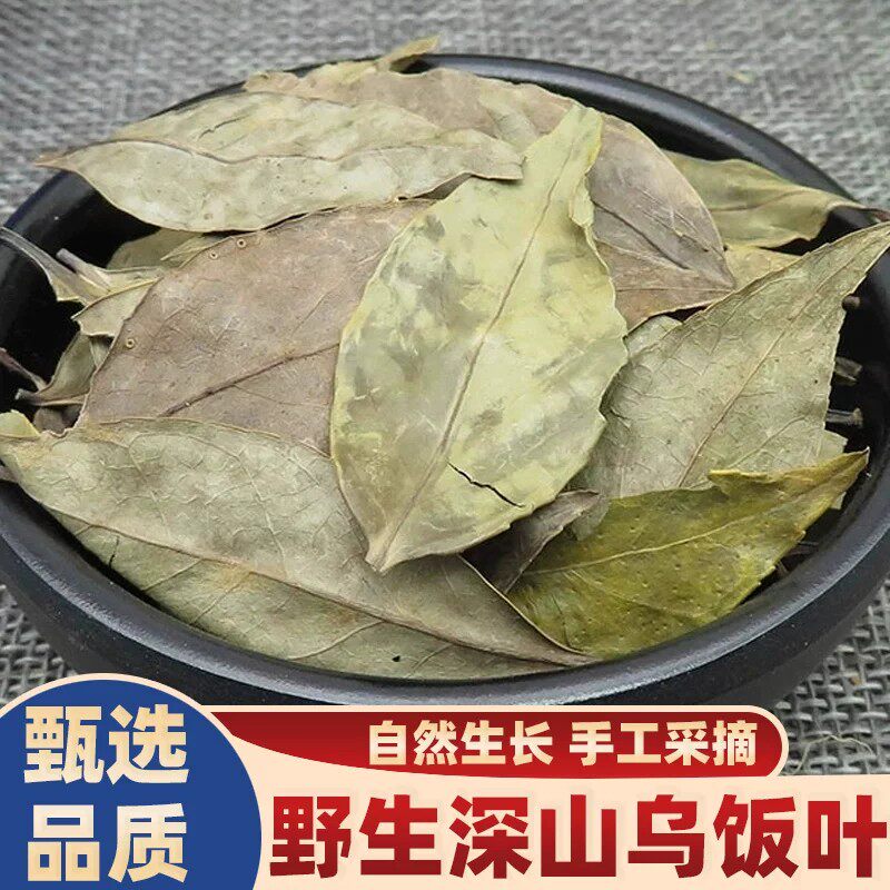 中药材乌饭叶500g南墨饭叶乌树叶克烛叶乌饭竹叶南烛精选大叶包邮