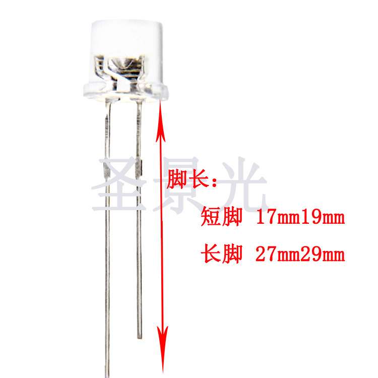 F5有边平头蓝光led直插灯珠600-800mcd高亮5mm白发蓝发光二极管