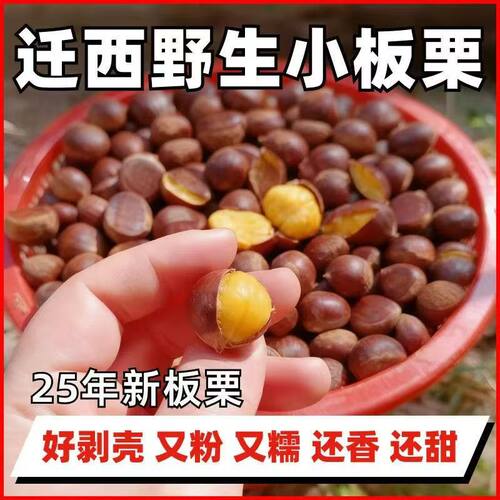 2025小油栗小个毛栗子正宗迁西板栗香甜野生新鲜小毛栗小小粒