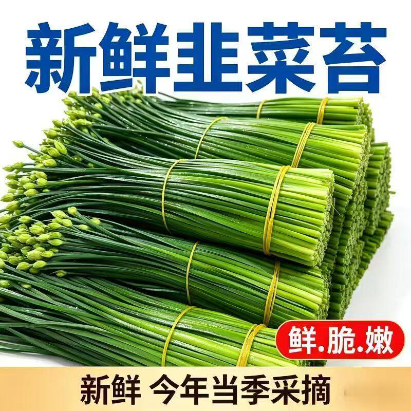 新韭苔今年嫩韭菜苔现摘广西蒜菜苔新鲜韭菜批发时令当季蔬菜