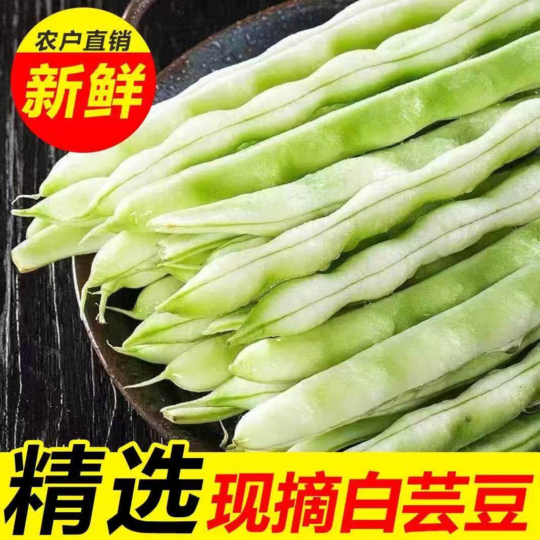 大白豆角白不老白大架白芸豆芸豆农家山东新鲜四季豆蔬菜现摘