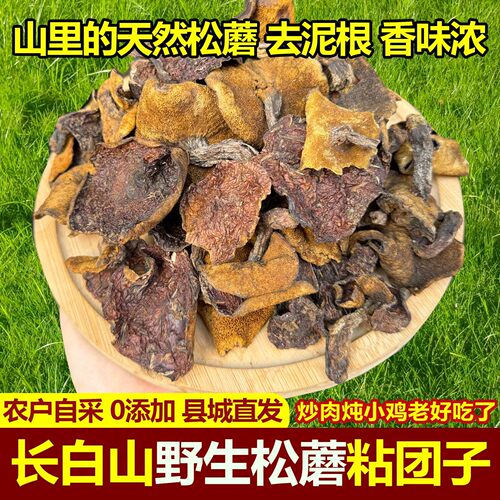 东北特产松蘑纯天然野生松农家采摘晒干蛾子松蘑山蘑菇干货炖鸡
