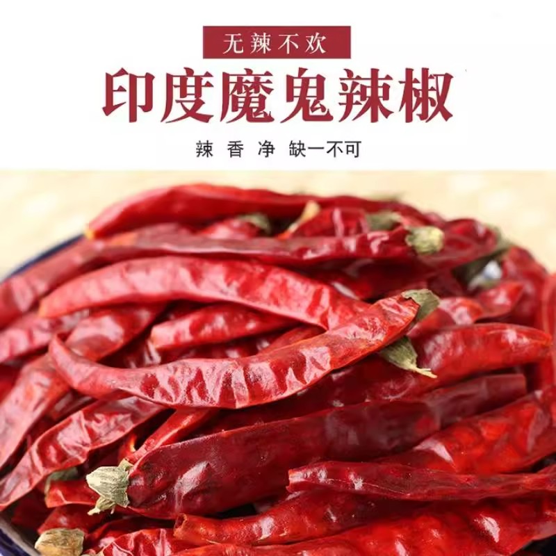 印度魔鬼辣椒超辣变态辣干红辣椒火锅餐饮商用批发2025新货干辣椒