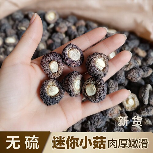 小香菇干货250g 金钱菇古田农家冬菇珍珠菇小干香菇食用特小