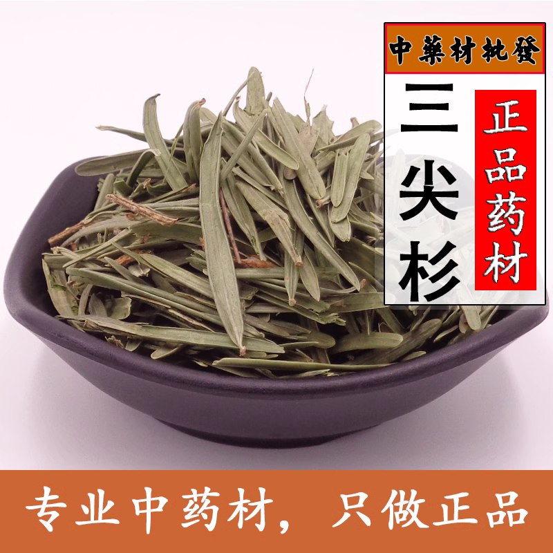 中药材 三尖杉 天然藏杉 桃松 狗尾松 三尖松 三尖杉500克包邮