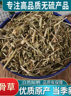 正品透骨草500g中药材野生新鲜珍珠透骨草干货泡脚中草药透骨草粉
