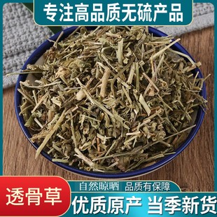 正品透骨草500g中药材野生新鲜珍珠透骨草干货泡脚中草药透骨草粉