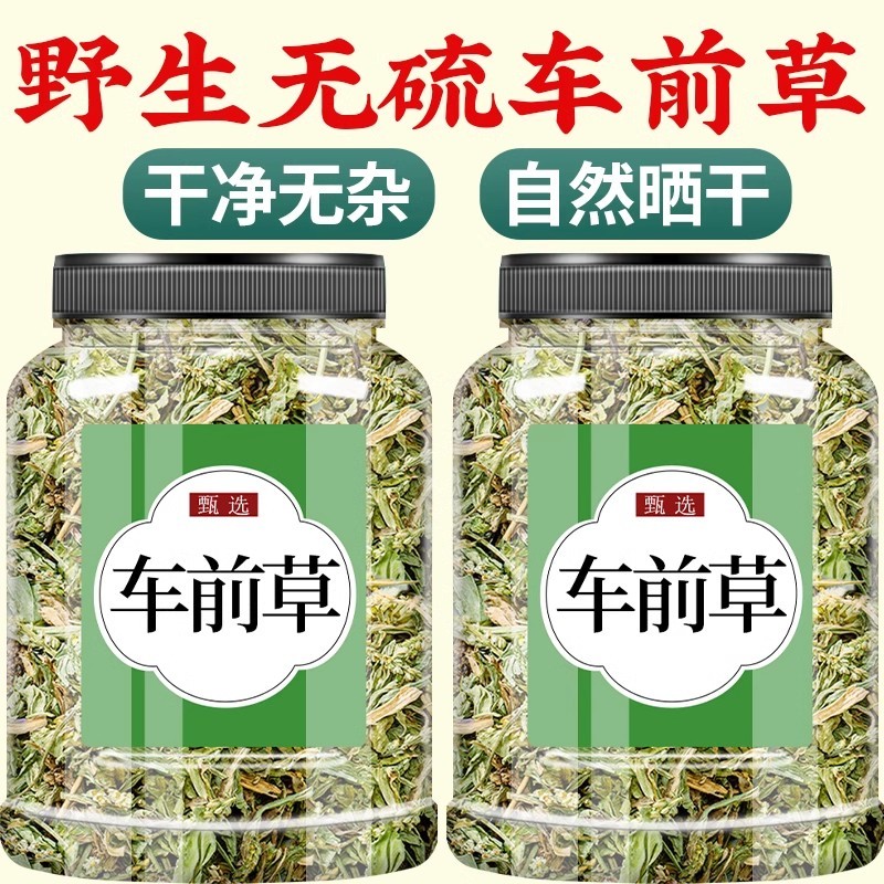 车前子草500g中药材官方旗