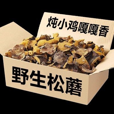 东北松蘑菇野生松蘑新鲜松树蘑菇干货粘团子松树菇松蛾子山珍