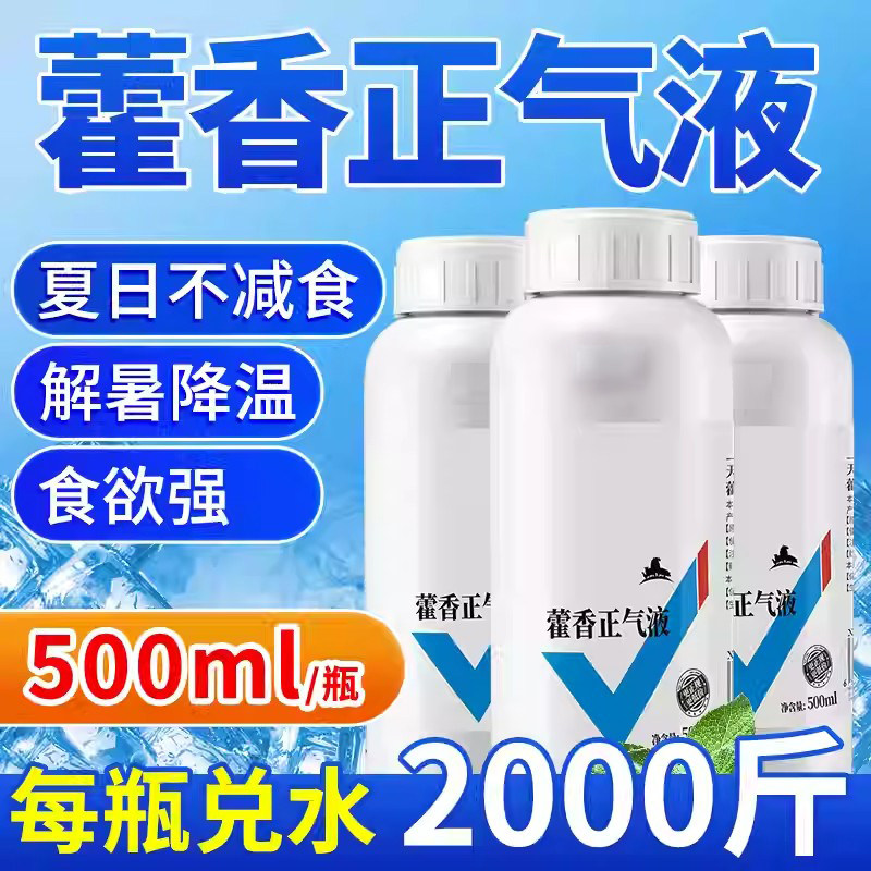 兽用藿香正气水抗应激降温防暑