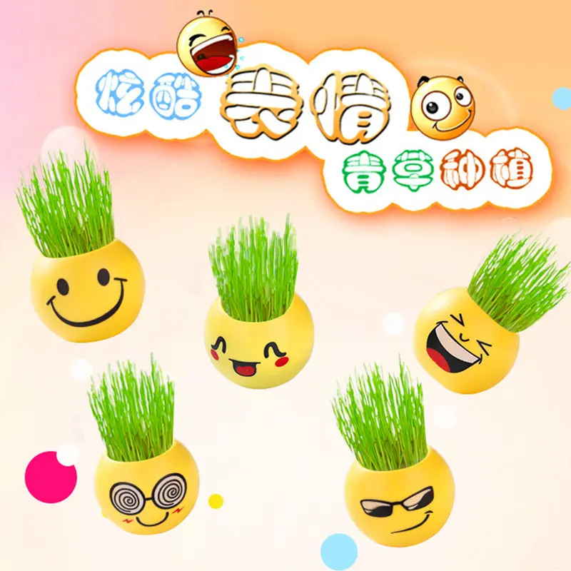 草头娃娃办公室植物小青草种植表情桌面学生礼品