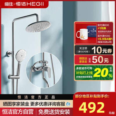 HEGII恒洁家用小户舒适型淋浴花洒套装955系列