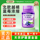 朴诺美国进口蓝莓软糖高含量越橘提取物保护视力正品 临期