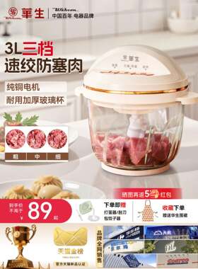 华生绞肉机家用搅肉机电动和面多功能料理机搅碎机官方正品搅拌机