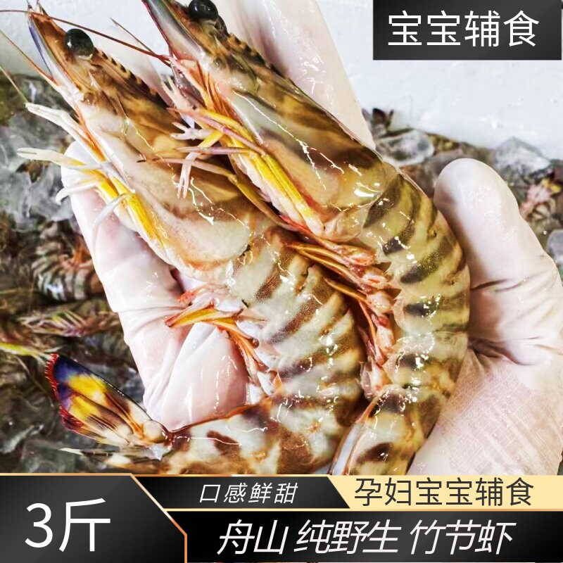 野生竹节虾特大班节虾