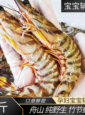 野生竹节虾特大班节虾