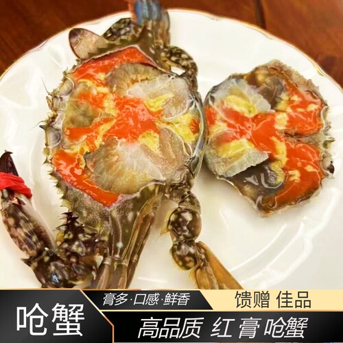 舟山宁波红膏呛蟹咸母蟹即食