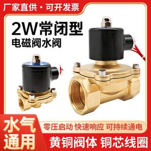 15黄铜AC220V节能防水DN25 常闭型电磁阀水阀气阀控制阀2W160