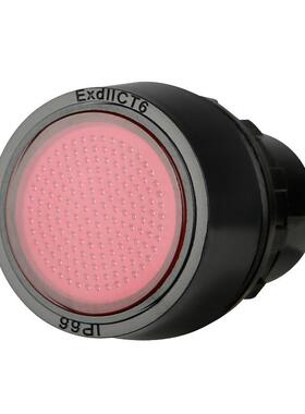 Bd8030-2防爆防腐信号灯124指示灯24V36V220V多色可选防爆箱信号