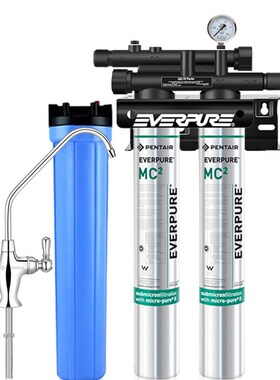 爱惠浦净水器奶茶店直饮水商用大流量过滤L净水机mc2双联超滤机
