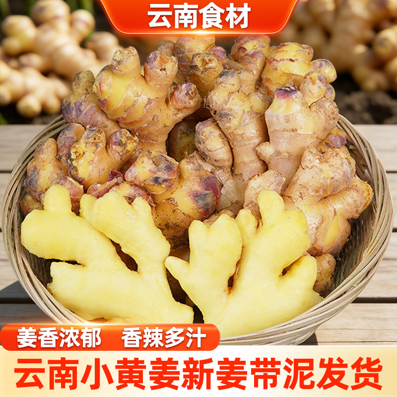 滇鲜生云南新鲜食材新姜农家新鲜生姜农家当季新鲜调味新姜