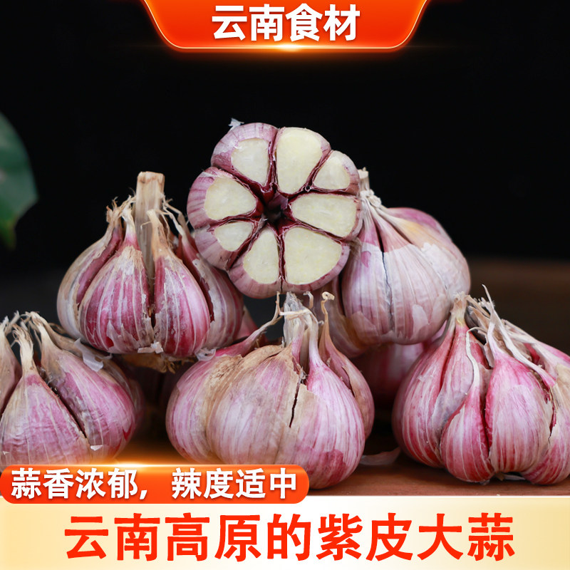 滇鲜生云南本地紫皮大蒜农家小个头半干大蒜多瓣紫皮大蒜调味蔬菜