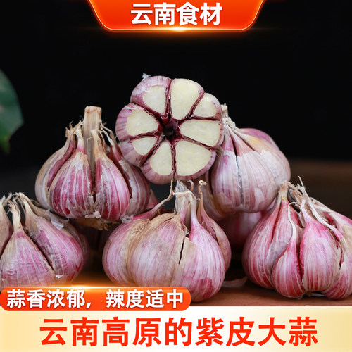 【滇鲜生】云南紫皮新鲜半干大蒜