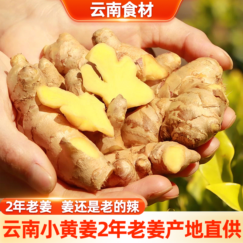 【滇鲜生】云南新鲜小黄姜