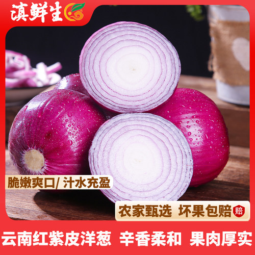 新鲜现挖农家甄选品质洋葱