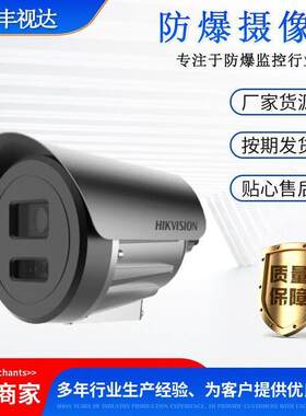 CXSpoe/2XE6025FWD/摄像头DS6045-摄像机6065-/防爆6085