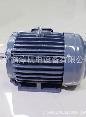 马达马达TECO刹车6P电机AEVFF3-现货供应(3HP）IE2