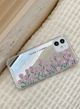 适用121614promax镜面1ate60/50/3090